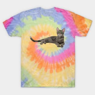 Cute Gray Tabby Kitten T-Shirt